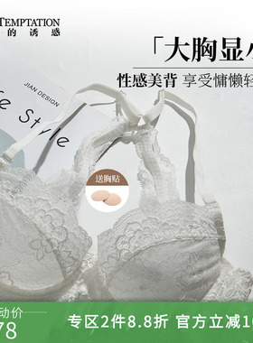 夏娃的诱惑夏季超薄交叉美背内衣女2026新款爆款大胸显小白色