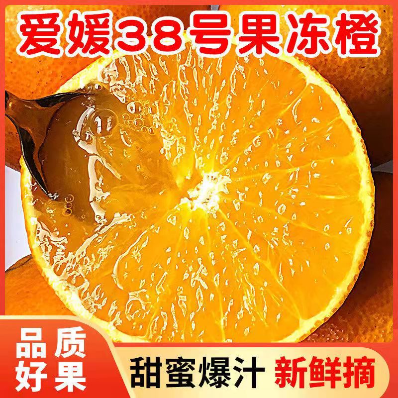 果佳懿爱媛38号果冻橙新鲜水果