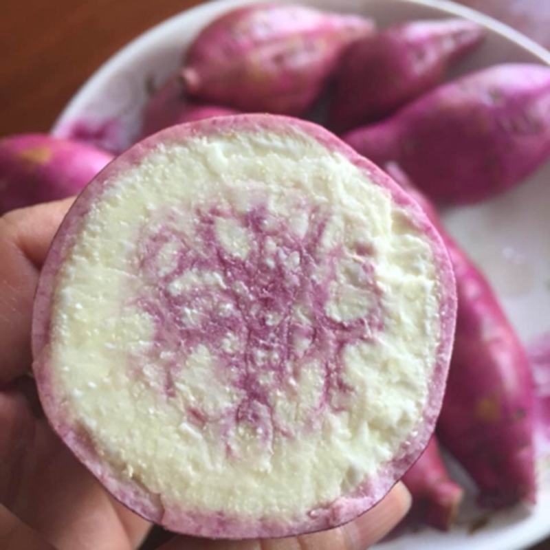 吴川特产冰淇淋红薯地瓜冰激凌番薯5斤包邮现挖整箱花心一点红