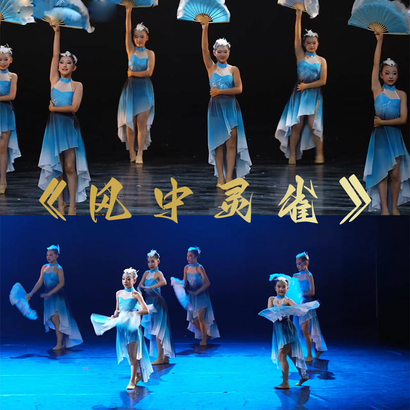 风中灵雀演出服中国舞舞蹈服