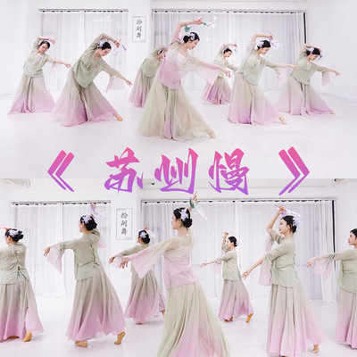 苏州慢古典舞套装茶花开了演出服