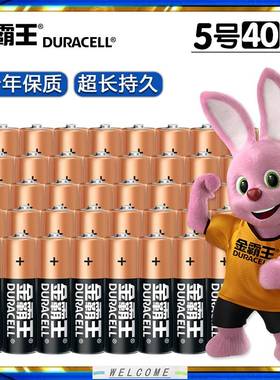 Plus Power AA, AAA, 9v Alkaline Batteries Lr03 Lr6