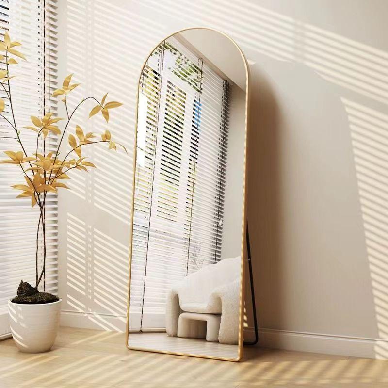Full-length floor mirror fitting mirror全身落地镜子穿衣镜子
