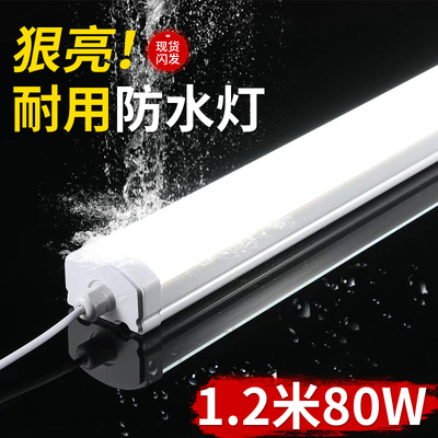 led防水灯管IP65一体化长条户外三防灯冷库车间浴室洗车店照明灯