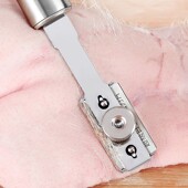 不锈钢刮猪毛刀家用猪肉刮毛器剃猪毛肉皮专用羊猪手猪头去毛神器