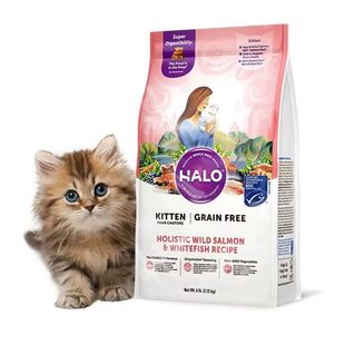 自然光环幼猫粮鱼肉