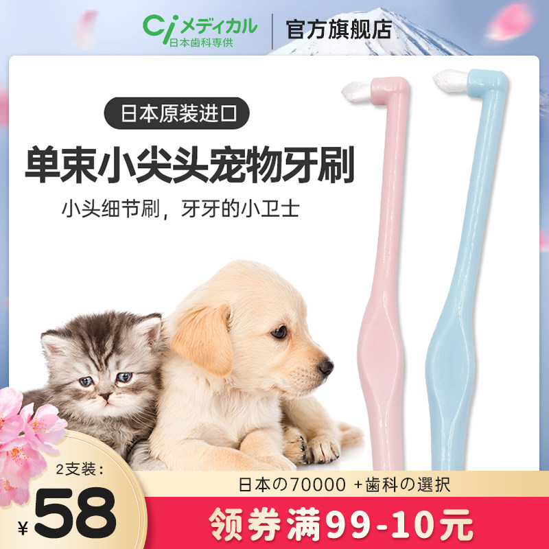 日本进口ci小尖头单束猫咪宠物牙刷牙缝小头软毛结石口腔清洁牙具