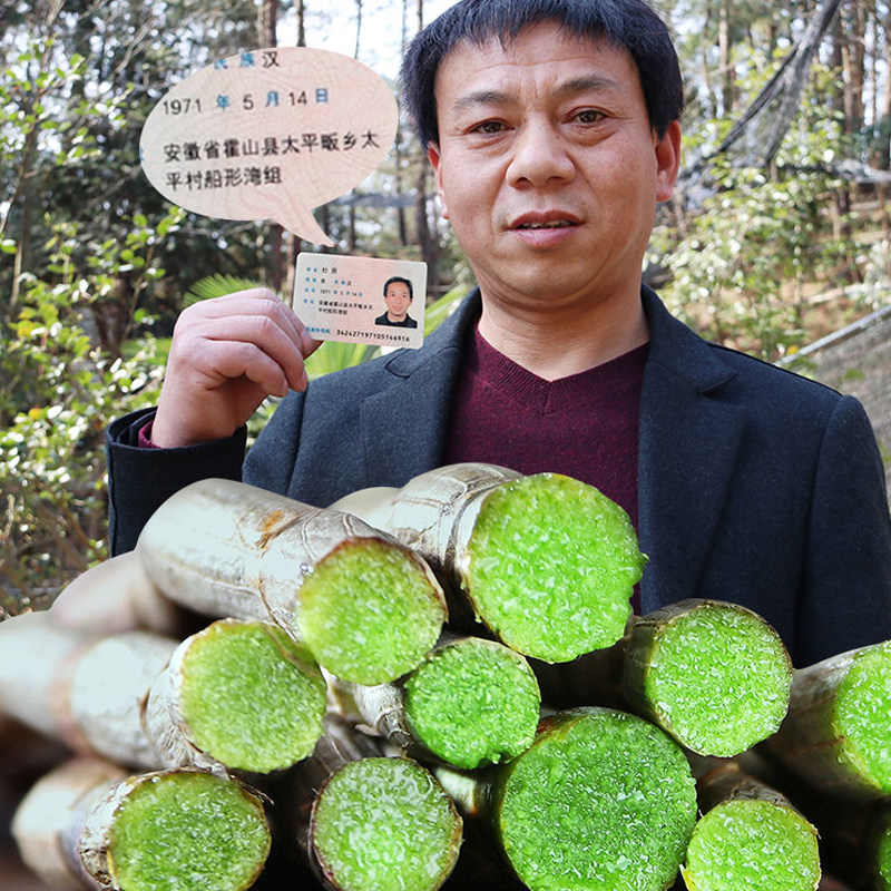 正宗霍山新鲜铁皮石斛鲜条500g四年现采现发枫斗1斤包装石斛鲜条