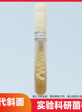 巨大芽孢杆菌 ATCC14581二代斜面质量控制菌株学校教学实验菌种