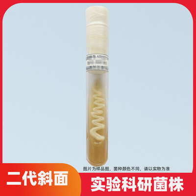 枯草芽孢杆菌ATCC6633二代斜面菌株质控标准菌种