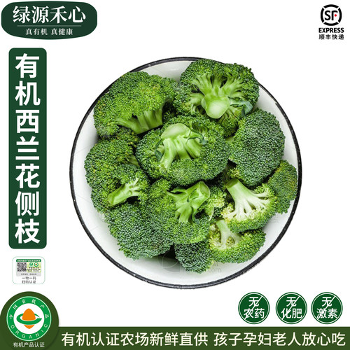 有机西兰花侧枝新鲜切小朵西蓝花