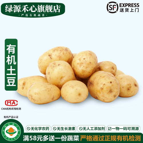 有机土豆新鲜挖应季黄心大马铃薯