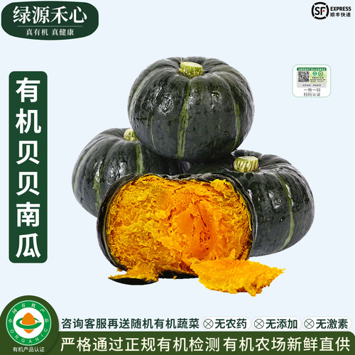 有机贝贝南瓜新鲜正宗板栗小南瓜