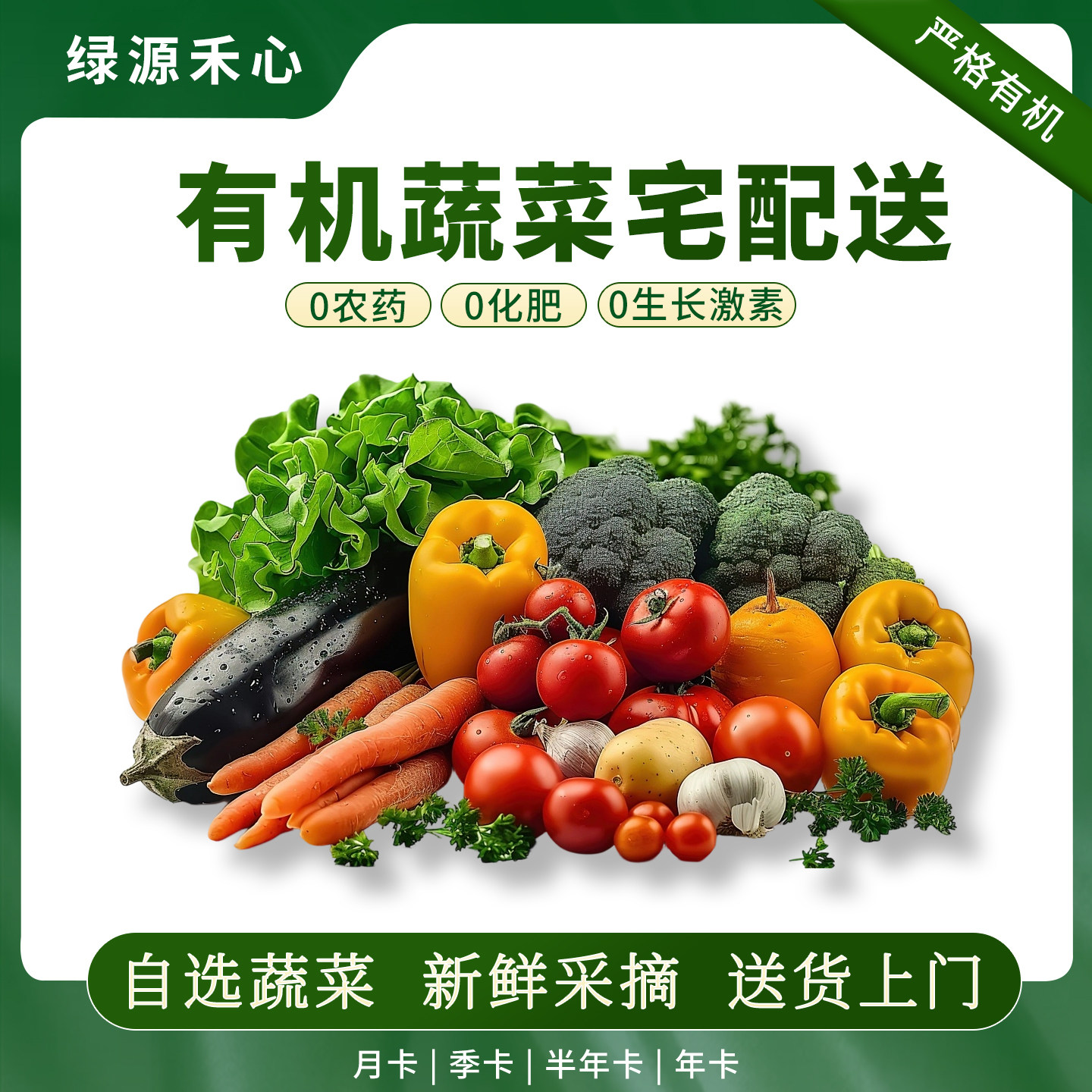有机蔬菜新鲜采摘当季时令企业家庭定制月卡季卡年卡每周顺丰配送