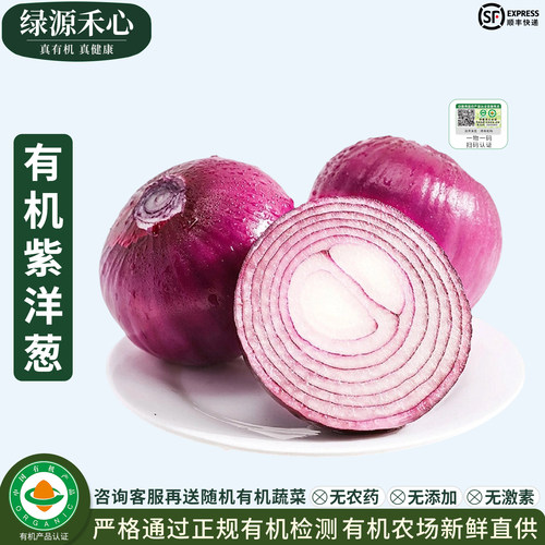有机紫洋葱新鲜生吃水果洋葱圆葱