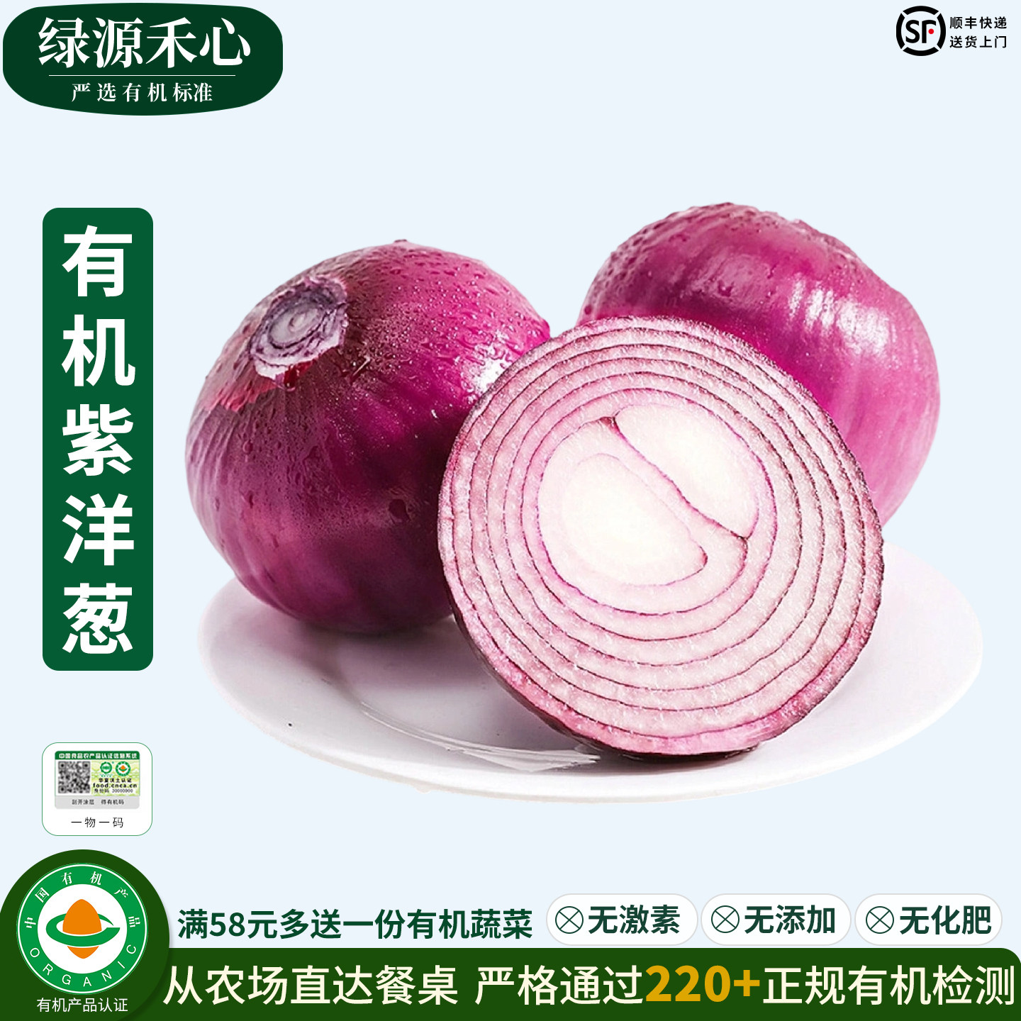 有机紫洋葱新鲜红皮圆葱葱头5斤10斤生吃凉拌炒菜健康无农残蔬菜