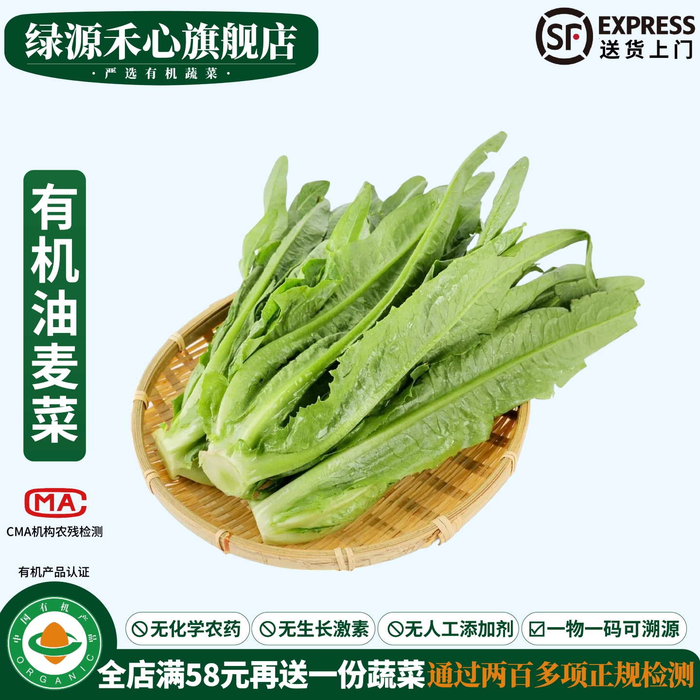 有机油麦菜新鲜采摘健康无农残菜