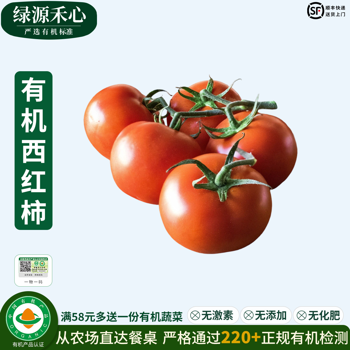 有机西红柿新鲜现摘沙瓤大番茄生吃炒老品种自然熟健康无农残蔬菜