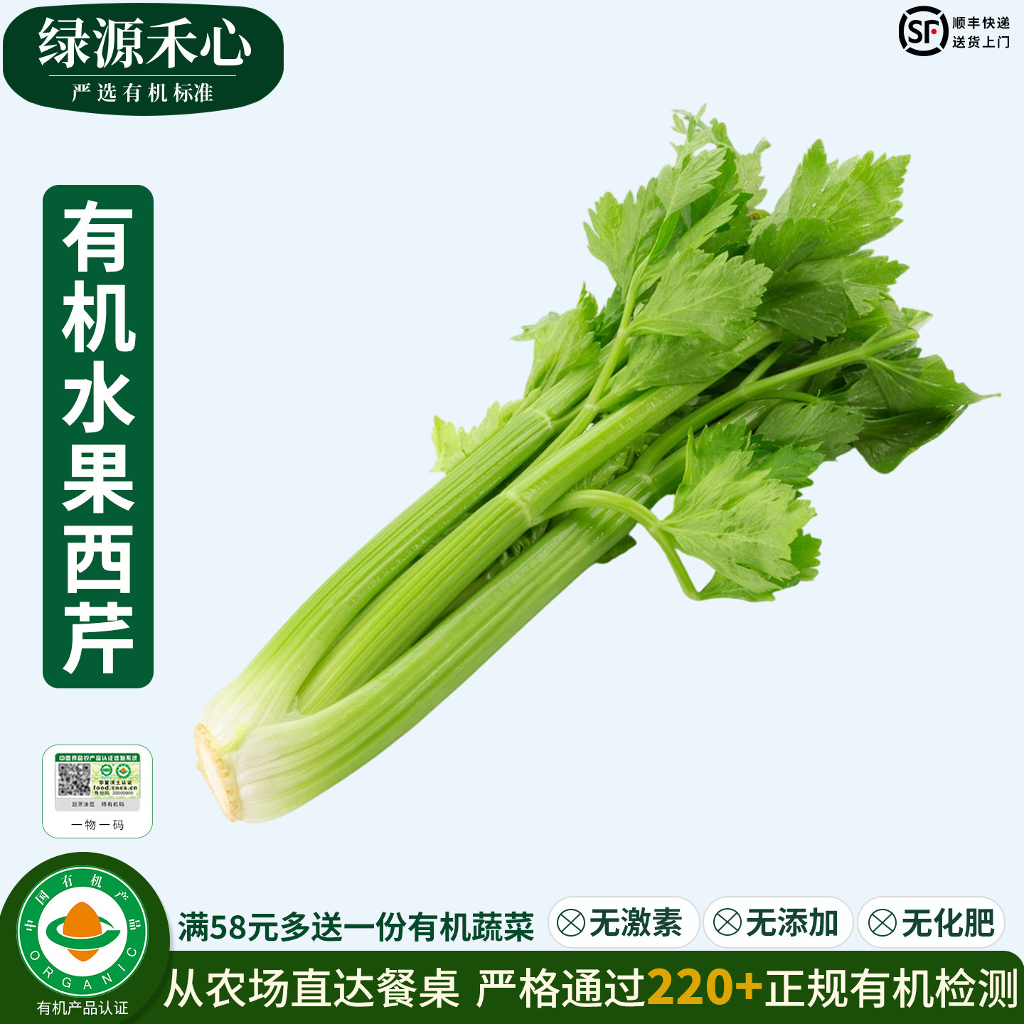 有机西芹新鲜水果芹菜榨汁生吃芹菜脆多汁轻食健身健康无农残蔬菜