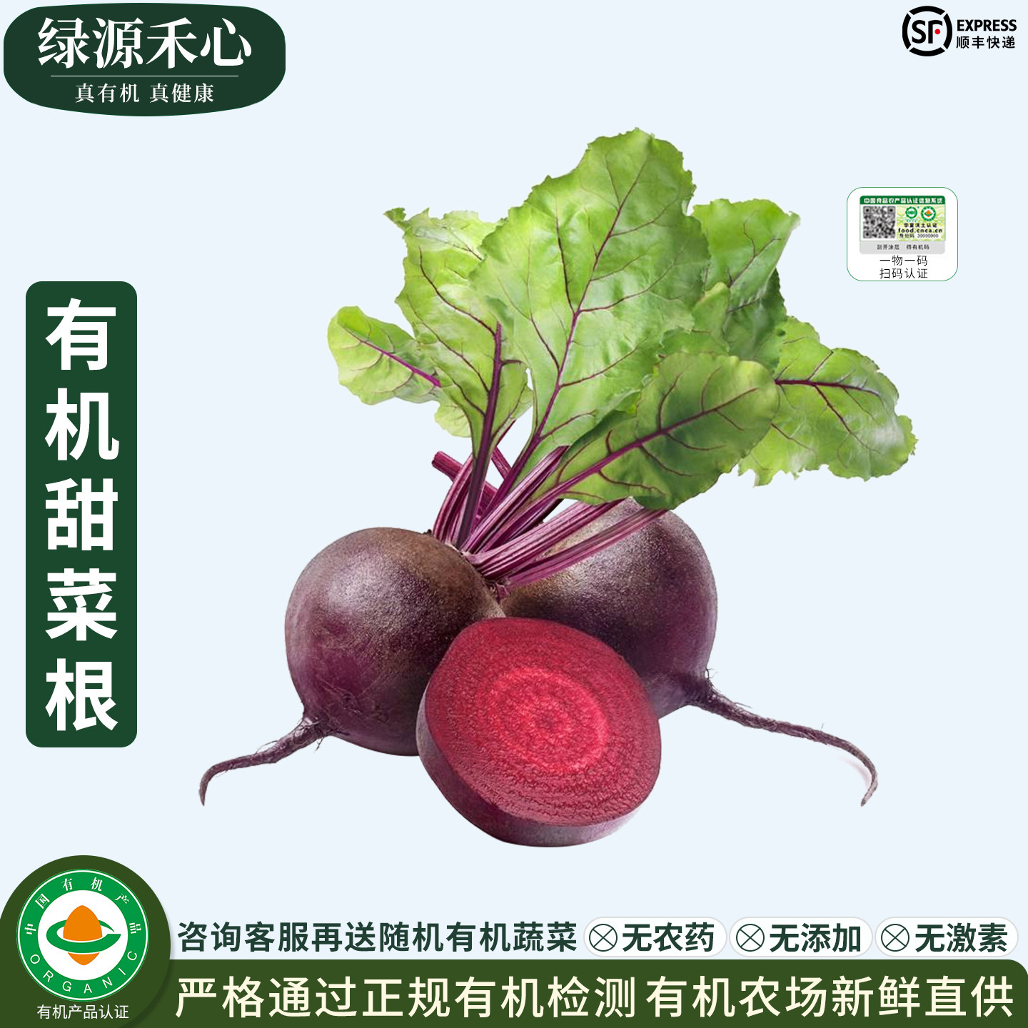 有机甜菜根新鲜现挖红甜菜头紫菜头榨汁生吃沙拉天然农家健康蔬菜 - 实物图