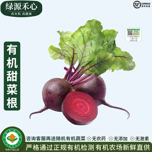 有机甜菜根农场新鲜现挖红甜菜头