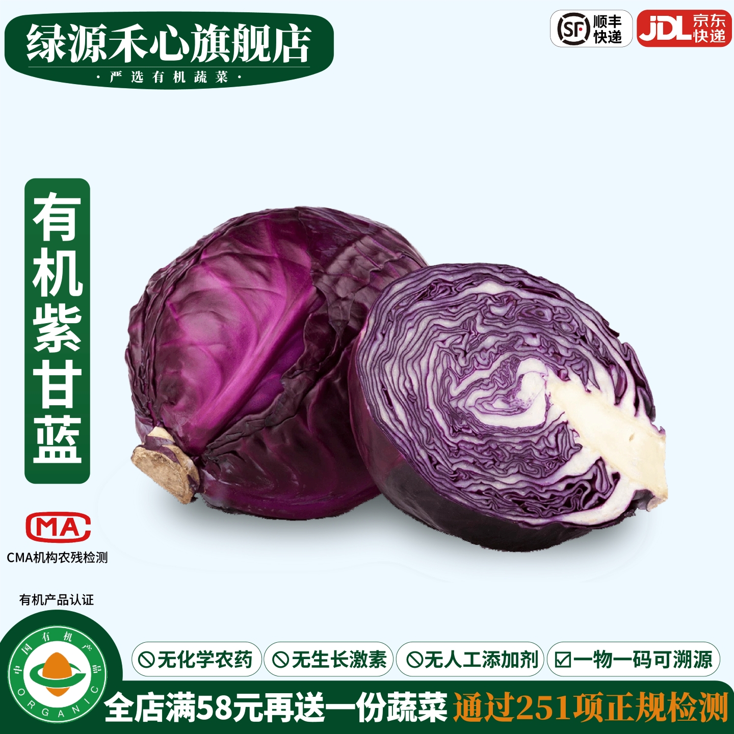 有机紫甘蓝新鲜采摘紫包菜无农残