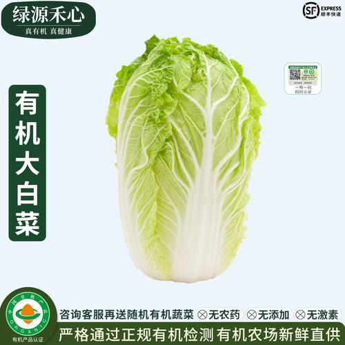 有机大白菜新鲜应季尝鲜黄心白菜