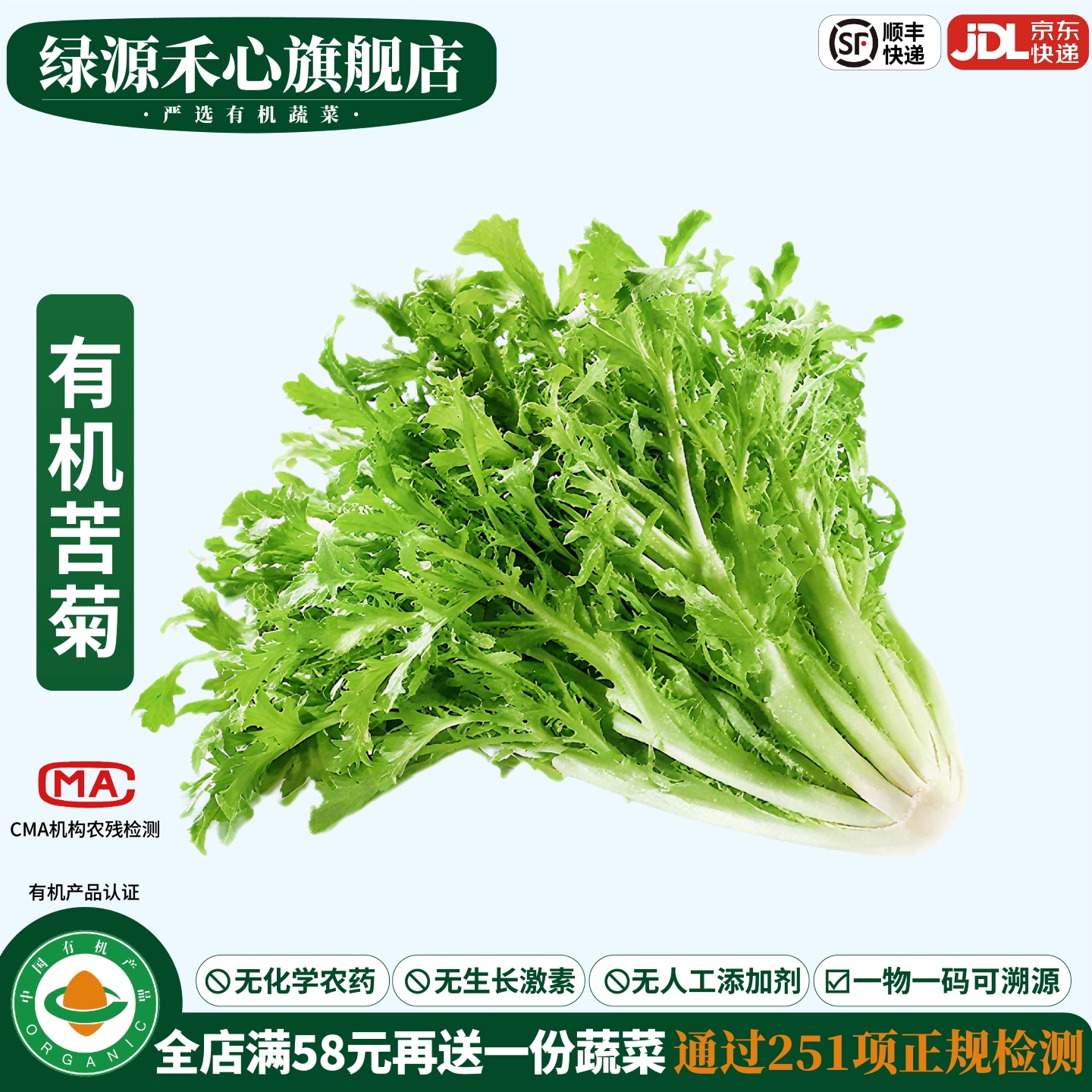 有机苦菊新鲜苦苣健康无农残蔬菜