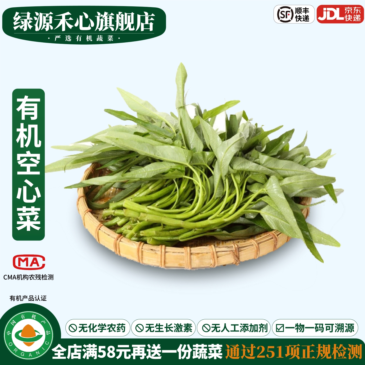 有机空心菜新鲜现摘通心菜蕹菜