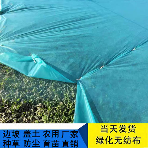 护坡绿化植草籽无纺布盖土防尘布