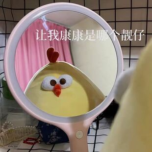 可爱敦敦鸡小黄鸡毛绒玩具布娃娃公仔玩偶床上陪睡抱枕生日礼物女