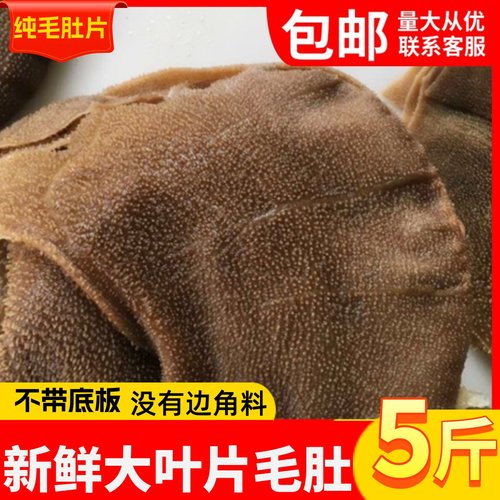 大叶片毛肚火锅新鲜牛百叶批发