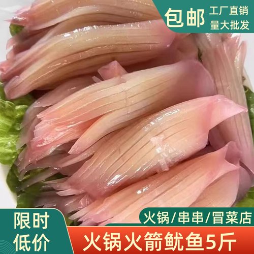 新鲜火箭鱿鱼商用鱿鱼须
