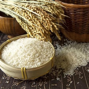 东北小伙特产本溪桓仁稻花香大米2500克特价5斤包邮