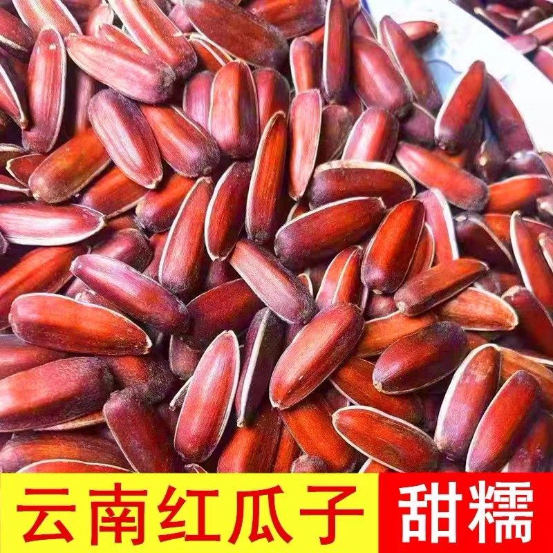 云南红皮瓜子云南红皮瓜子新货高原纯天然山地葵花籽熟红瓜子,零食/坚果/特产,瓜子,淘宝优惠券,粉丝福利购,淘宝优惠卷