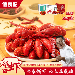 蒜香 6钱小龙虾3盒 小龙虾 送礼 信良记麻辣小龙虾25年当季