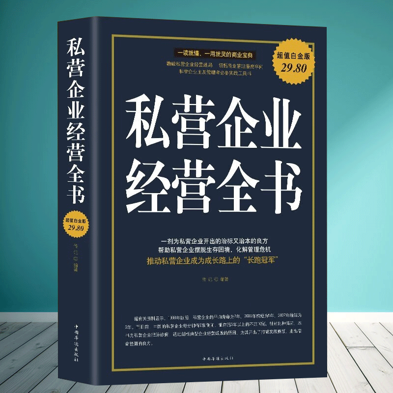 私营企业经营全书 现代企业战略管理风险把控 商业模式是设计出来的市场营销管理学 人力资源管理类书籍 项目风险投资管理评估书