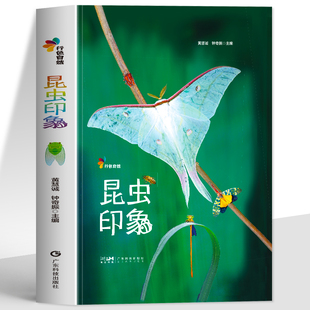 昆虫印象行色自然多样昆虫形态与生活场景画面细腻捕捉昆虫细节色彩贴合自然本真直观感受昆虫的独特魅力沉浸式的自然观察体验