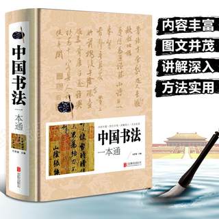 中国书法一本通书法史任思源书法理论行书草书篆书小篆字法解析习法举要毛笔字帖书法入门大全书书法大字典167个练习方法书法书籍