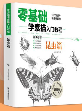 基础素描入门教程昆虫精通鸟类