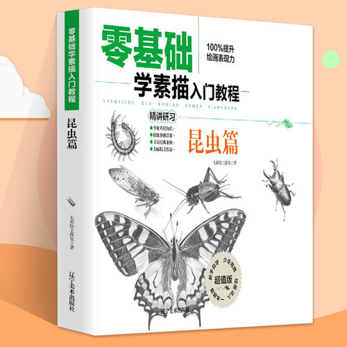 基础素描入门教程昆虫精通鸟类
