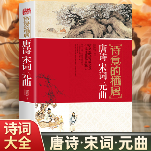 宋词 元 曲 诗意 高中生用鉴赏赏析诗词大会书籍全套 唐诗 古诗词大全集书全 诗集古诗全唐诗宋诗300首鉴赏辞典 栖局