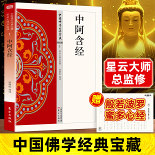 明心见性 顿悟之道 现代佛学经典 中阿含经正版 佛教经典 禅宗心法 无障碍阅读 入门畅销书籍排行榜 原著无删减原文注释译文白话文