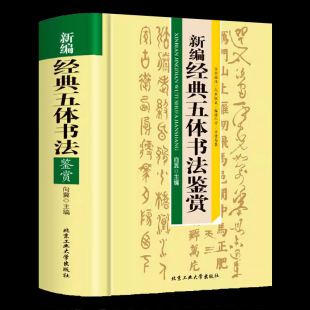 新编经典 五体书法鉴赏书法艺术基础理论常识鉴赏技法教程欧阳询赵孟俯楷书行书草篆隶书毛笔字帖书法入门字典大全