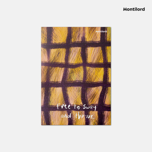 Montilord纸质文件夹A4