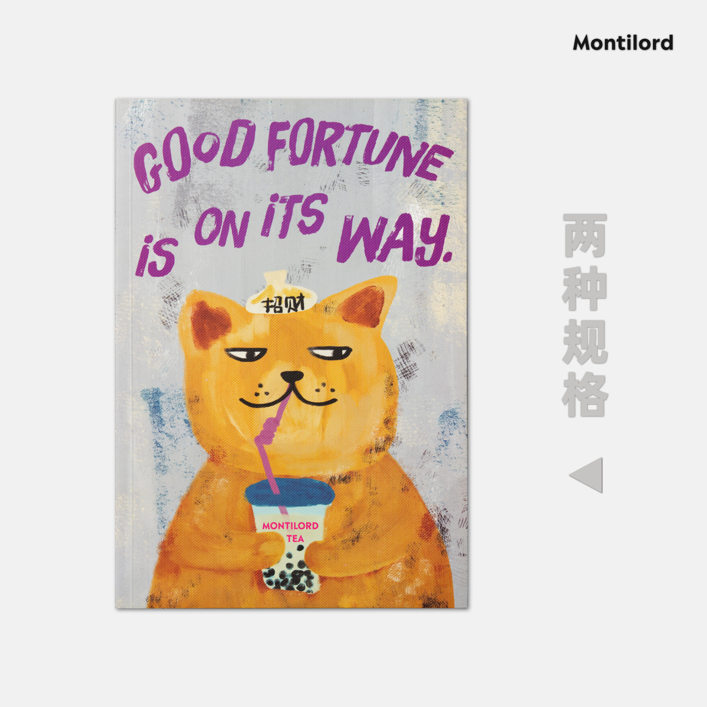 Montilord厚笔记本A5B5