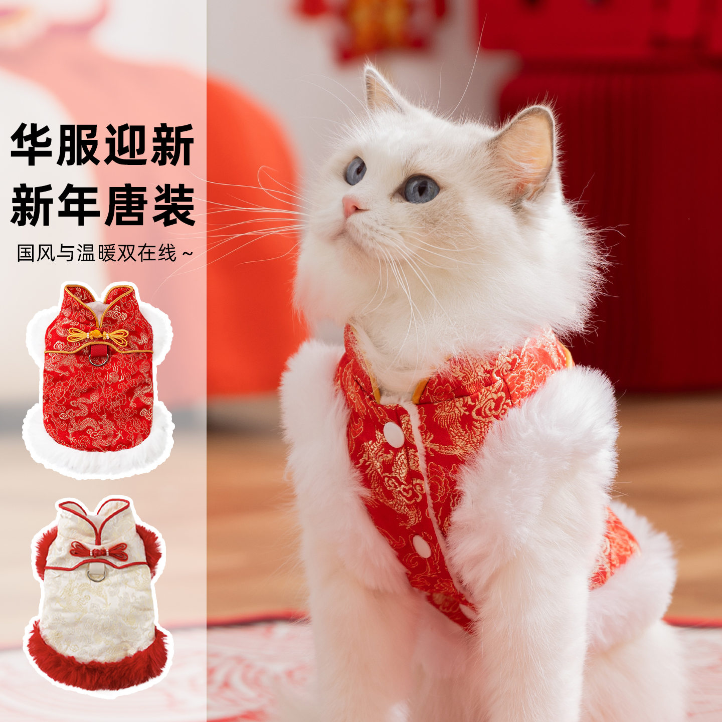 猫咪新年龙纹牵引马甲