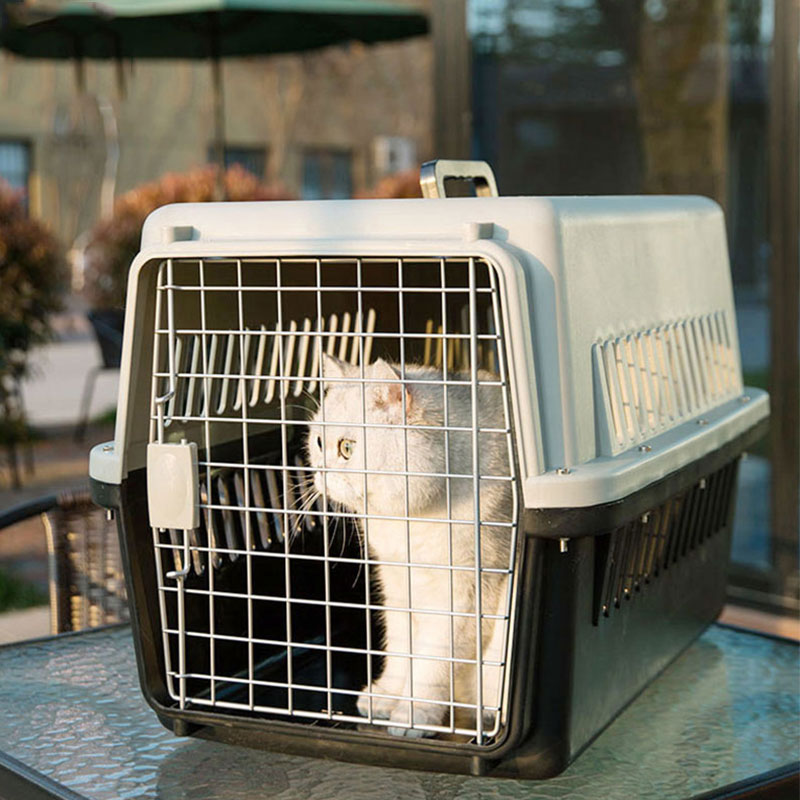 猫咪宠物航空箱宠道夫