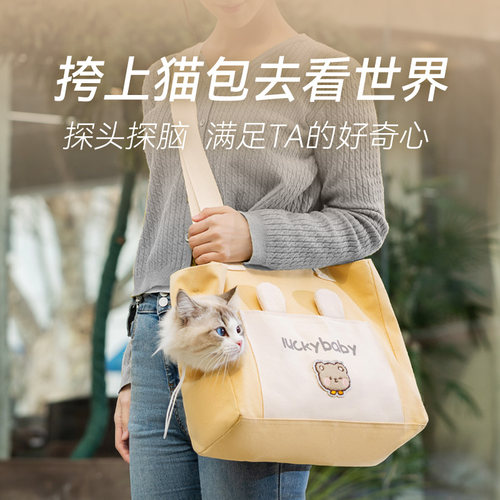 神经猫立体卡通配饰帆布包