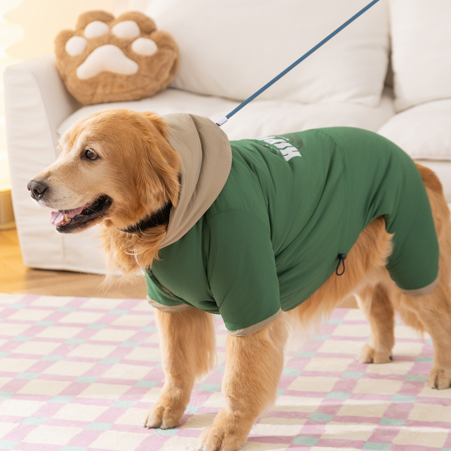 秋冬季大狗绗棉冲锋连帽棉衣中大型犬宠物保暖拉布拉多金毛狗服饰,宠物/宠物食品及用品,狗宠物服装/雨衣,淘宝优惠券,粉丝福利购,淘宝优惠卷